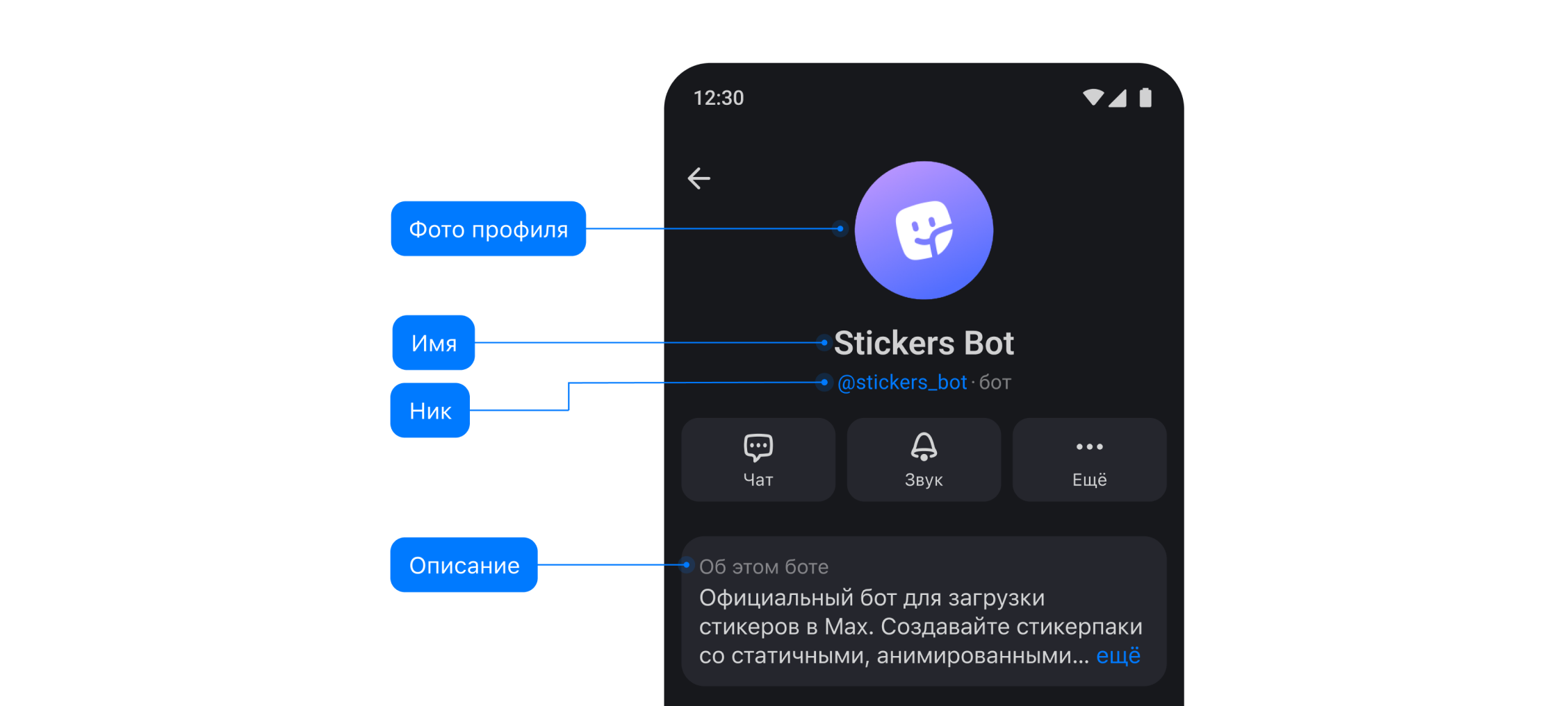 Профиль бота в MAX: имя, ник, аватар и описание